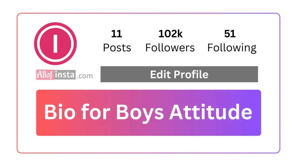Instagram bio for boys attitude