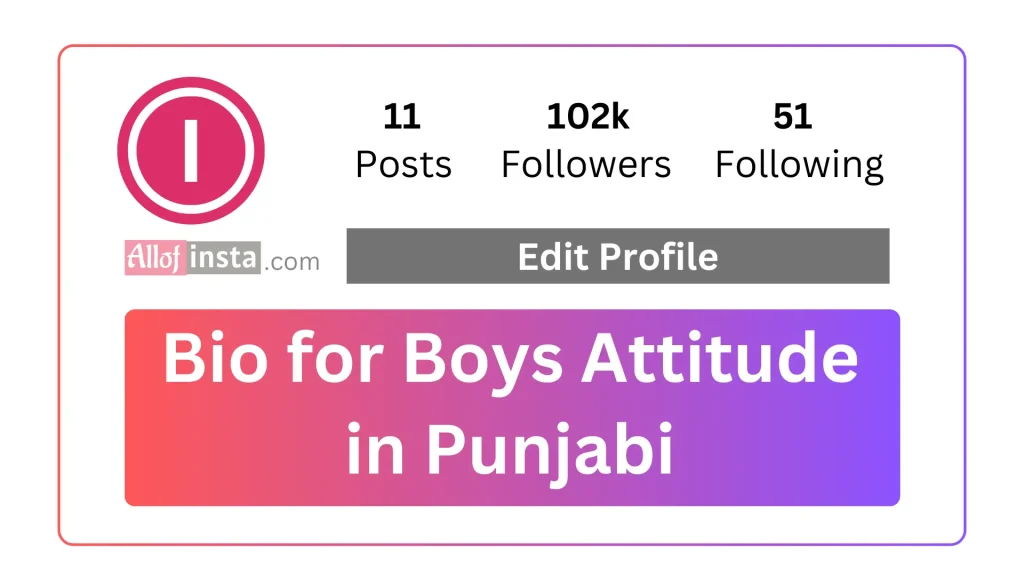 Instagram bio for boys attitude Punjabi