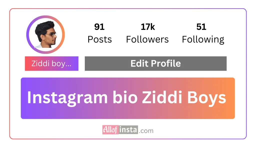 Instagram bio for boys ziddi