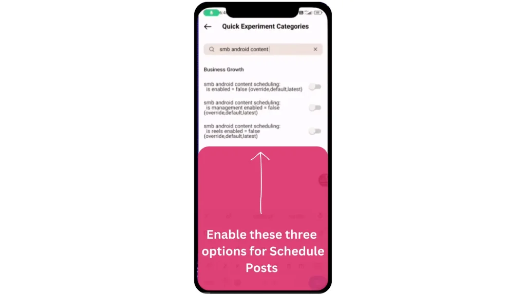 Schedule posts feature with Instander developer options