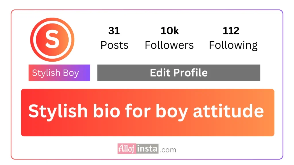 Stylish bio for Instagram boy attitude