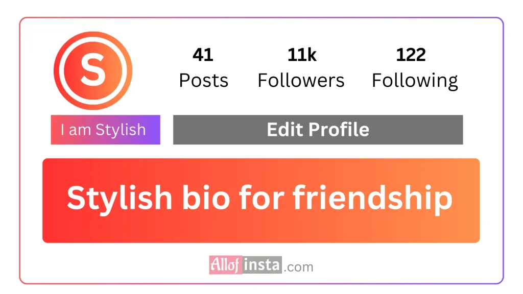 Stylish bio for Instagram friendship