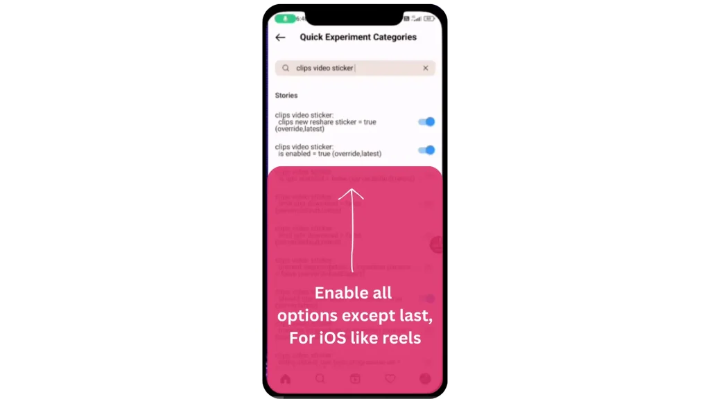 iOS reels with Instander developer options
