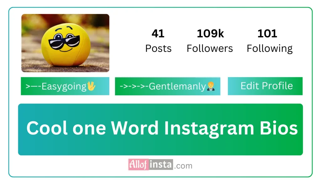 Cool One word instagram bio