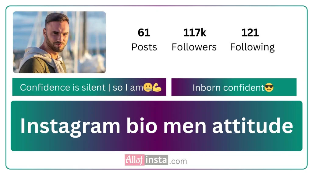 Instagram bio for men attitude