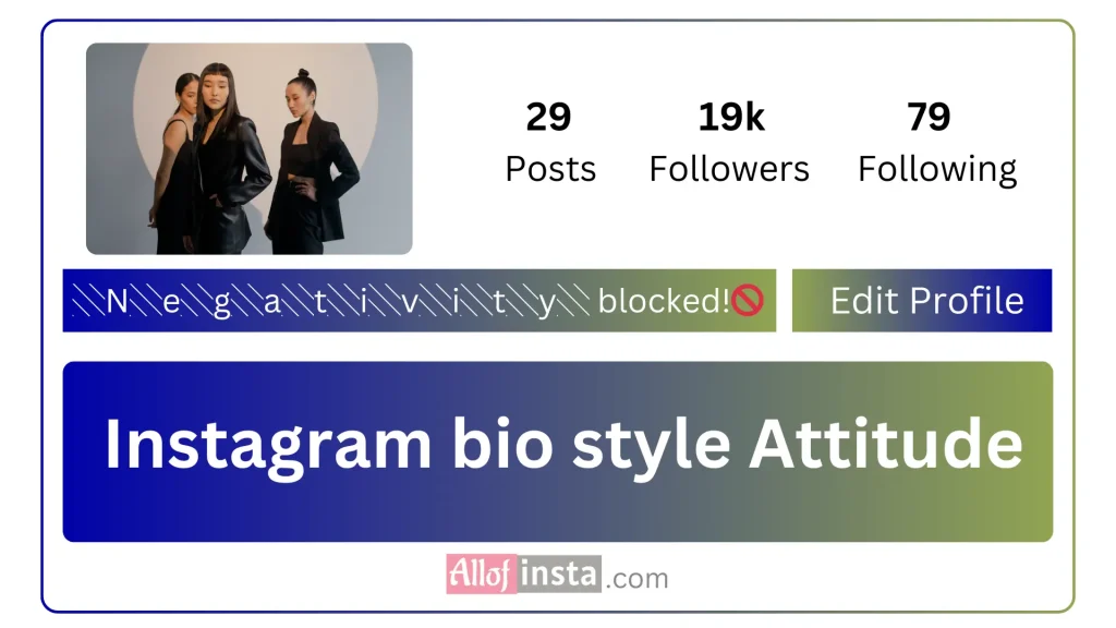 Instagram bio style Attitude