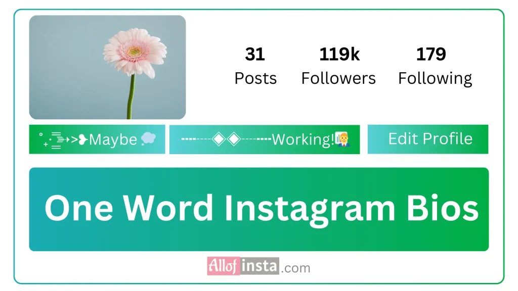 One word Instagram bio for boys and girls