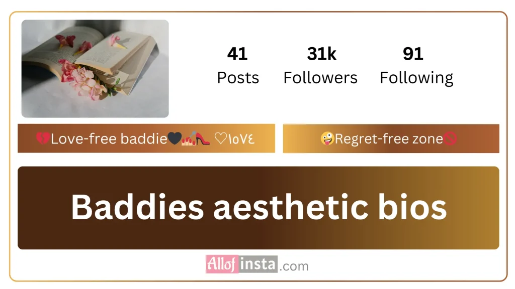 aesthetic bio for Instagram for baddies