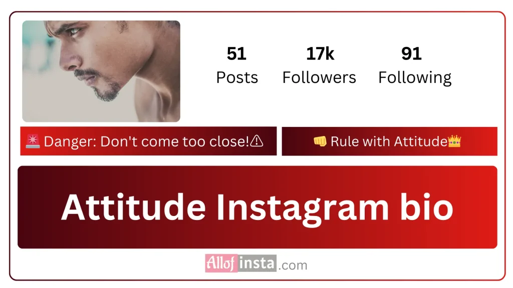 attitude Instagram bio