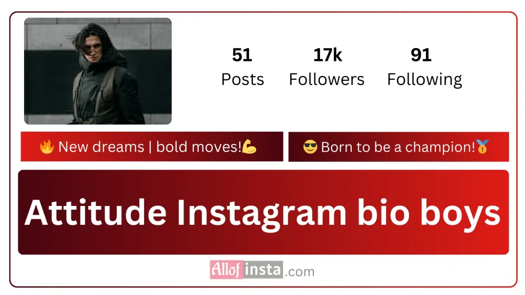 attitude Instagram bio boys