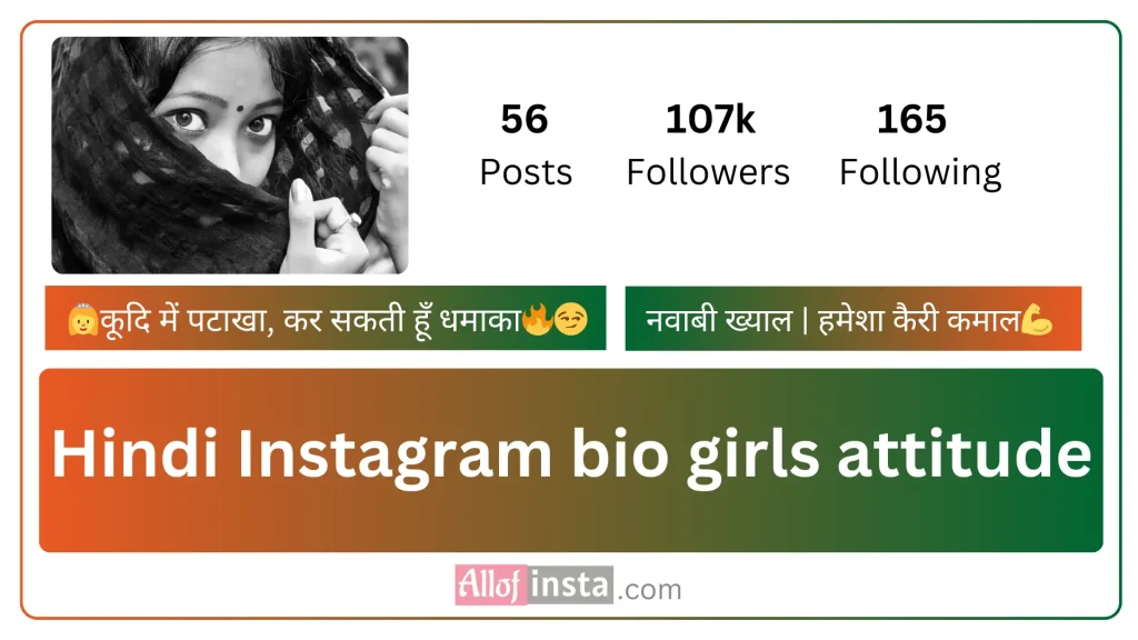 Instagram bio in Hindi girls attitude