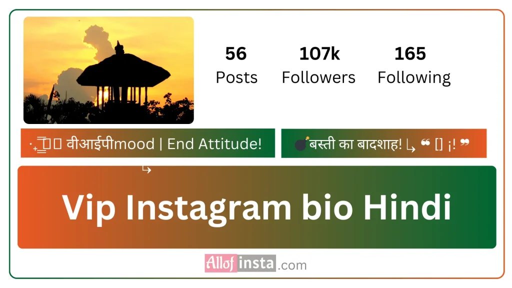 Vip Instagram bio in Hindi