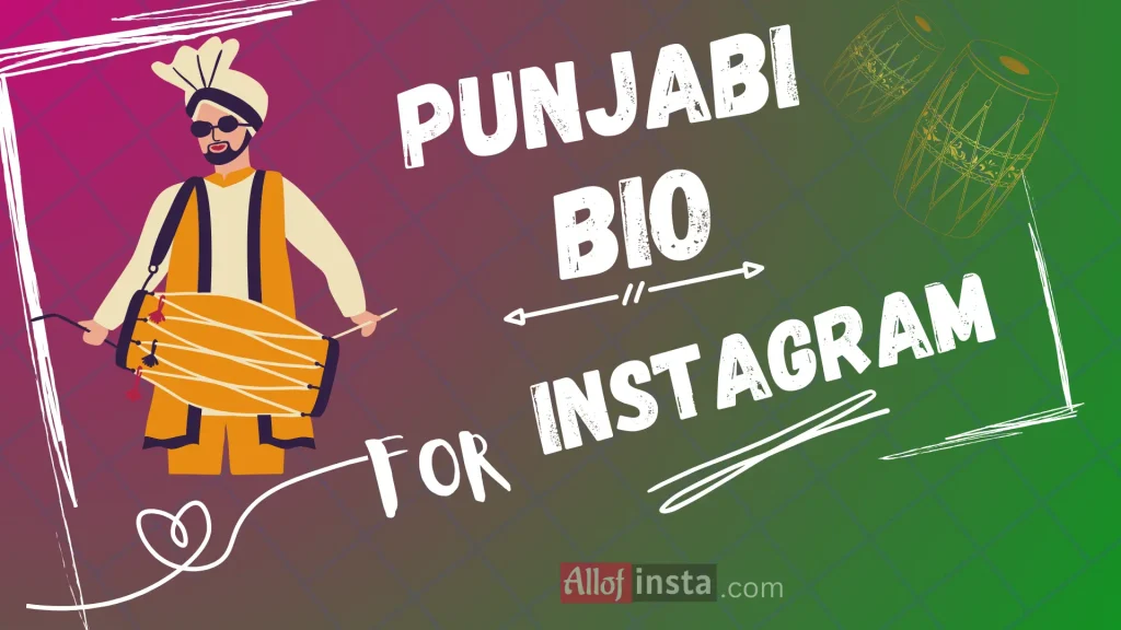 Instagram bio in Punjabi