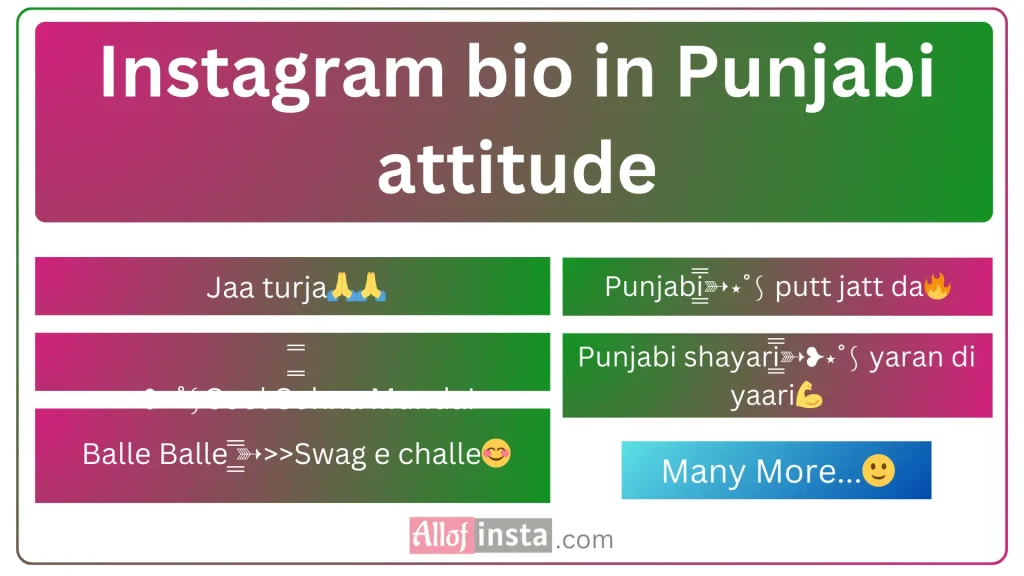 Instagram bio in Punjabi Attitude