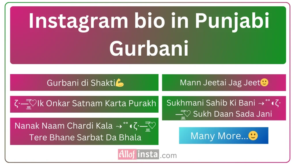 Instagram bio in Punjabi Gurbani