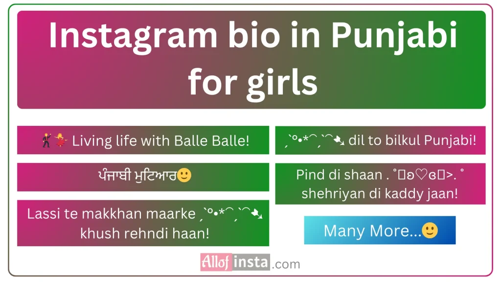 Instagram bio in Punjabi girls