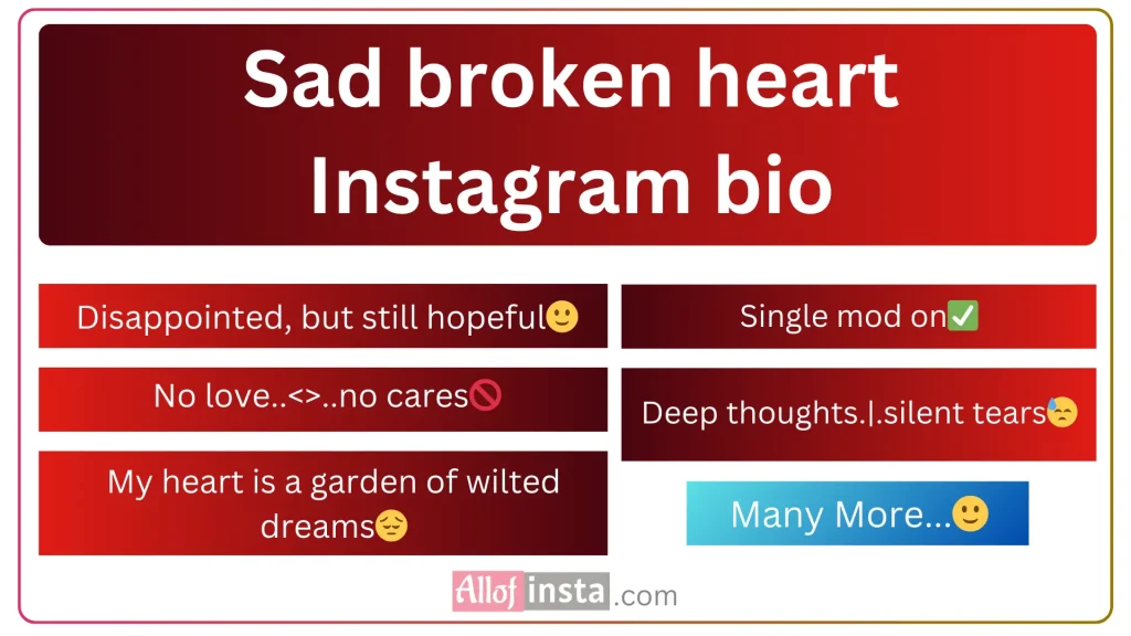 Sad and broken Instagram bio