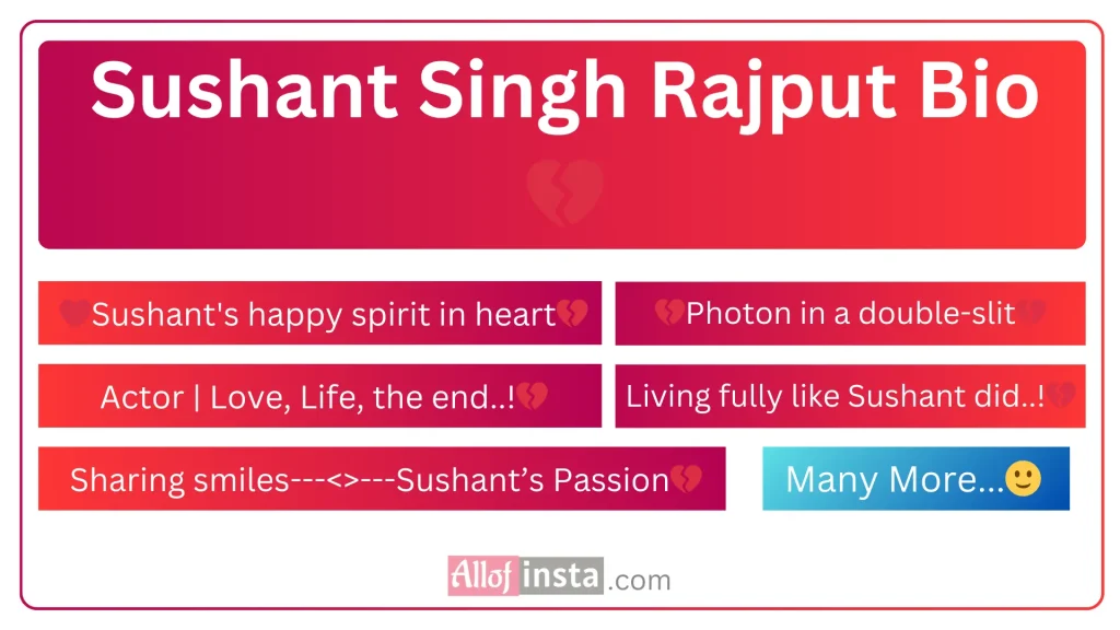 Sushant singh Rajput Instagram bio