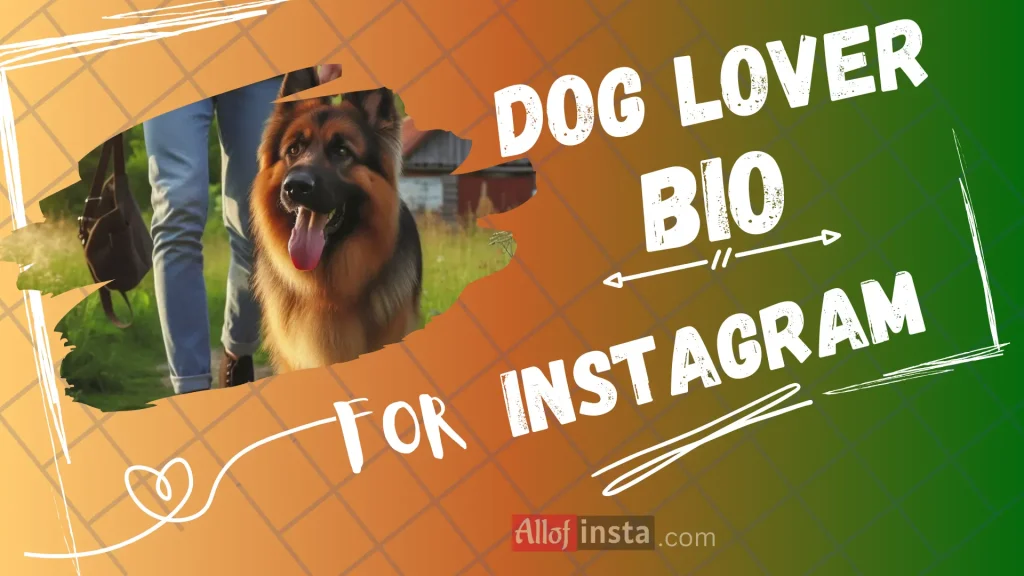 Dog Instagram bio ides