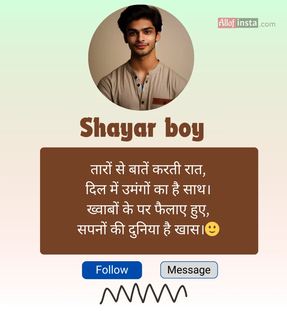 instagram bio shayari boy