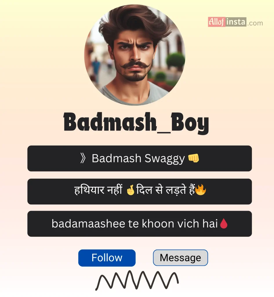 Badmashi bio for Instagram for boys