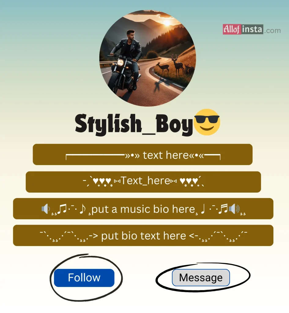 Instagram bio design boy