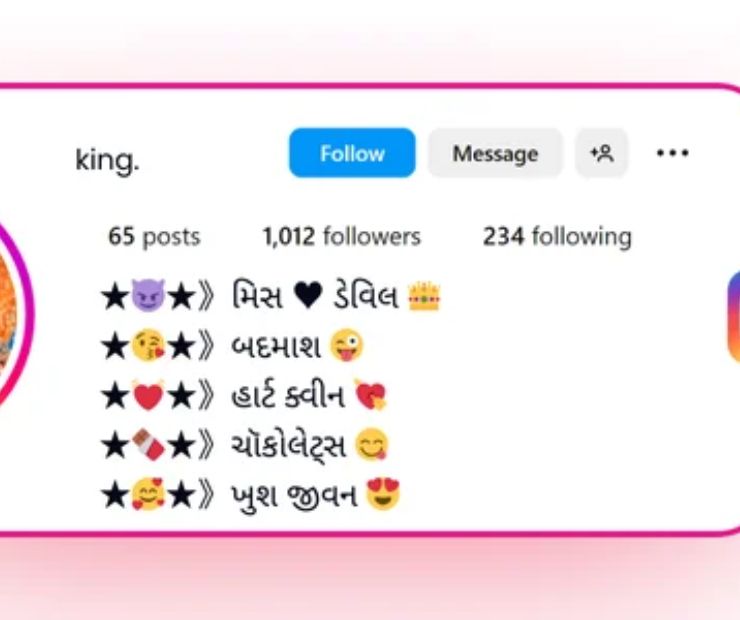 450+ Stylish And Attractive Instagram Bio In Gujrati 3 Gujarati Bio For Instagram
