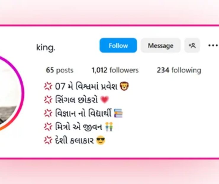 450+ Stylish And Attractive Instagram Bio In Gujrati 2 Instagram Bio For Girls In Gujarati
