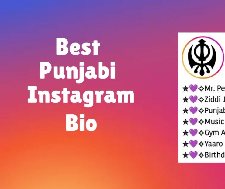 Instagram Bio in Punjabi