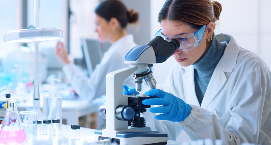 PhD in Biomedical Sciences Enabling Groundbreaking Discoveries in Healthcare 1 10